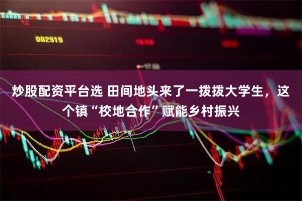 炒股配资平台选 田间地头来了一拨拨大学生，这个镇“校地合作”赋能乡村振兴