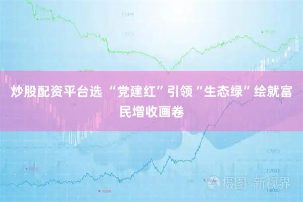 炒股配资平台选 “党建红”引领“生态绿”绘就富民增收画卷